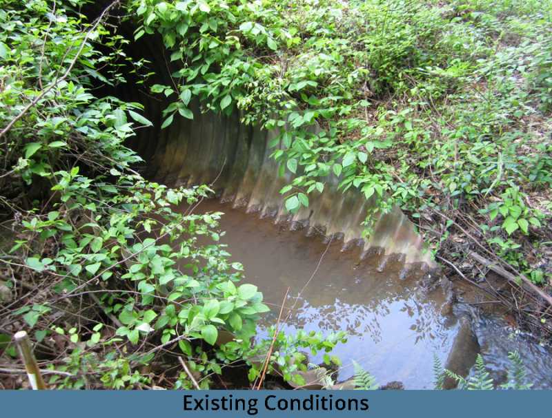 chappell_existing_conditions-3 - Copy